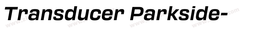 Transducer Parkside字体转换